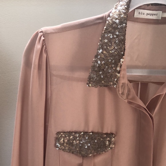 Blu Pepper Sheer Glitter Blouse - Picture 2 of 9